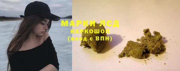 стаф Алексин