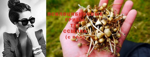 стаф Алексин