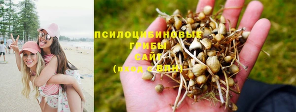 стаф Алексин