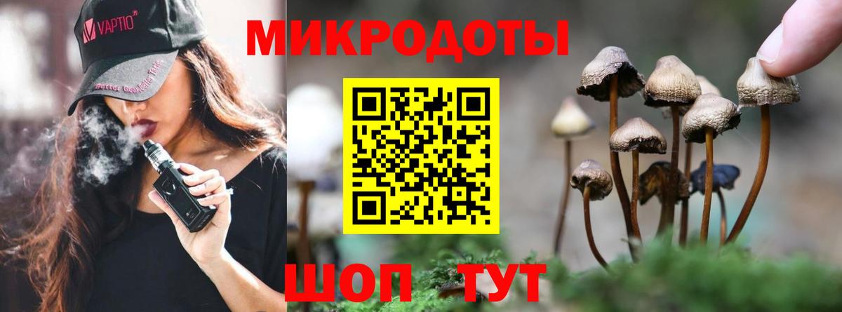 Псилоцибиновые грибы прущие грибы  Вход с VPN  наркотики  Псилоцибиновые грибы Magic Shrooms  Кызыл 